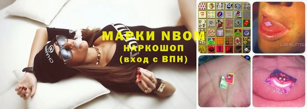 дмт Горняк