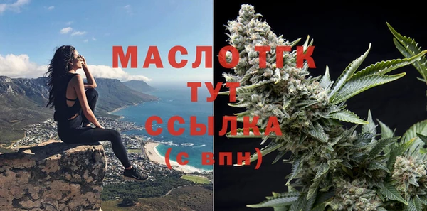 дмт Горняк