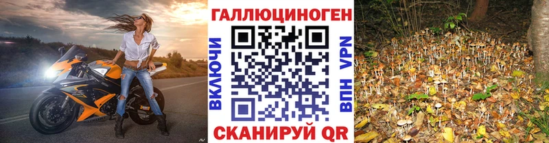 Купить где  Нижневартовск  Галлюциногенные грибы прущие грибы 